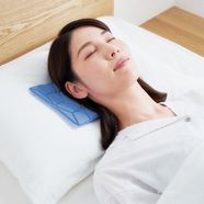 ラミプリュス 心地よいひんやり感をキープ! 敷くだけ快適 COOLOOPアイスピローシート〈ブルー〉【送料無料】